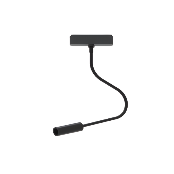 Track type reading light